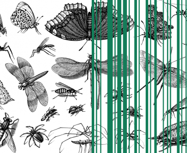 Bulk-Sample Metabarcoding