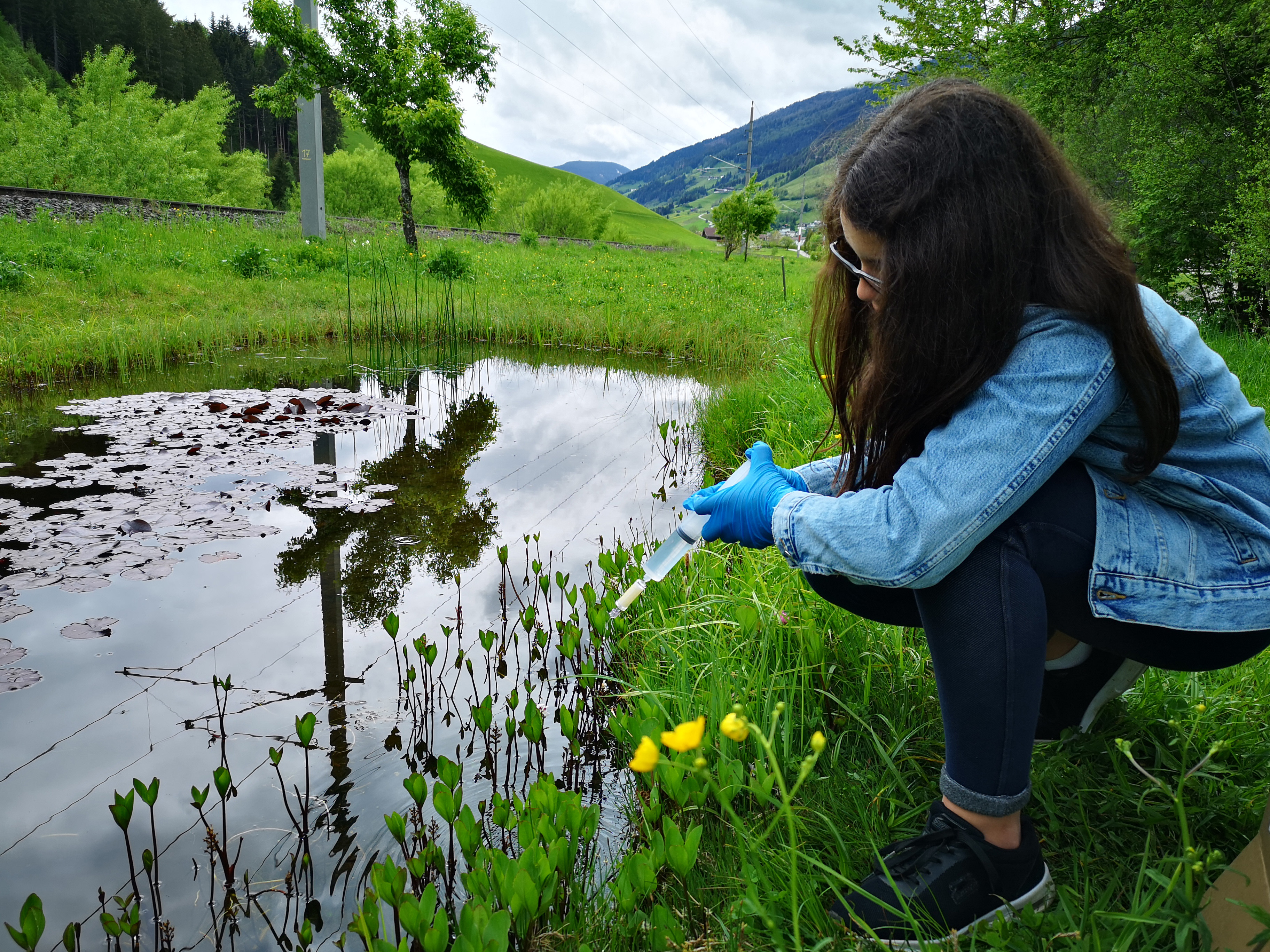 Aquatic inventory of a stream in Tyrol – Austria