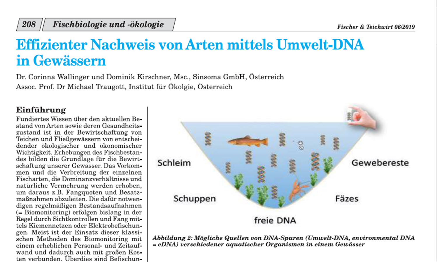 Effizienter Nachweis von Arten mittels eDNA in Gewässern