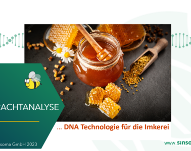 Webinar “DNA-Analysen und Honig”