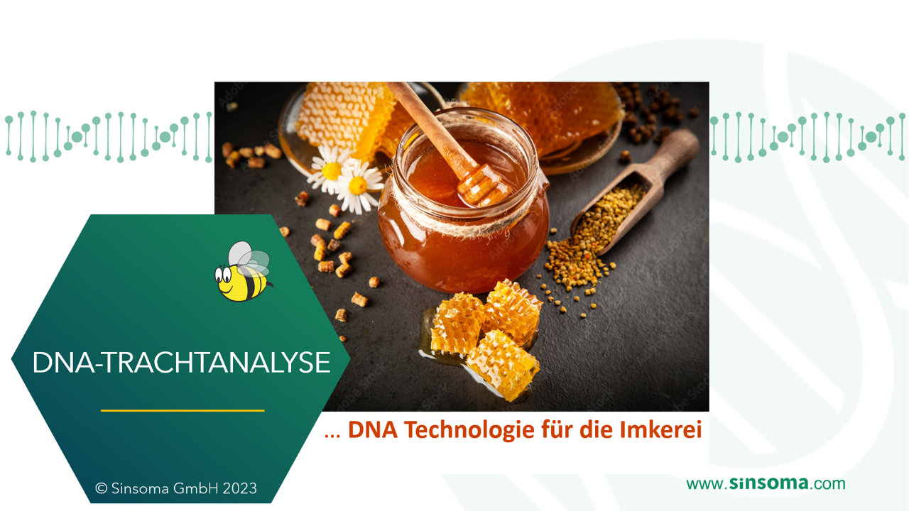 Webinar “DNA-Analysen und Honig”